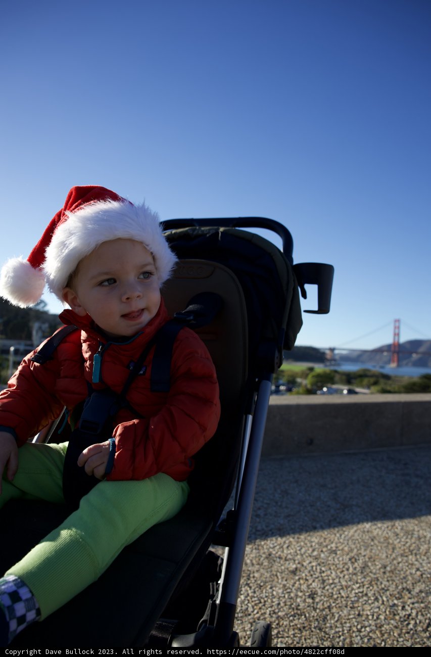 Skyela's First Christmas in SF