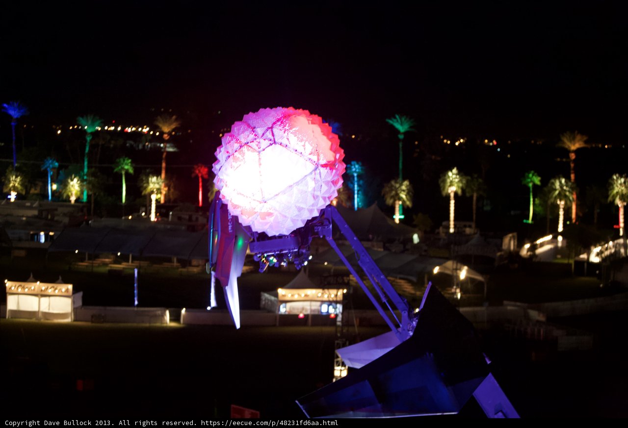 Illuminated Bloom