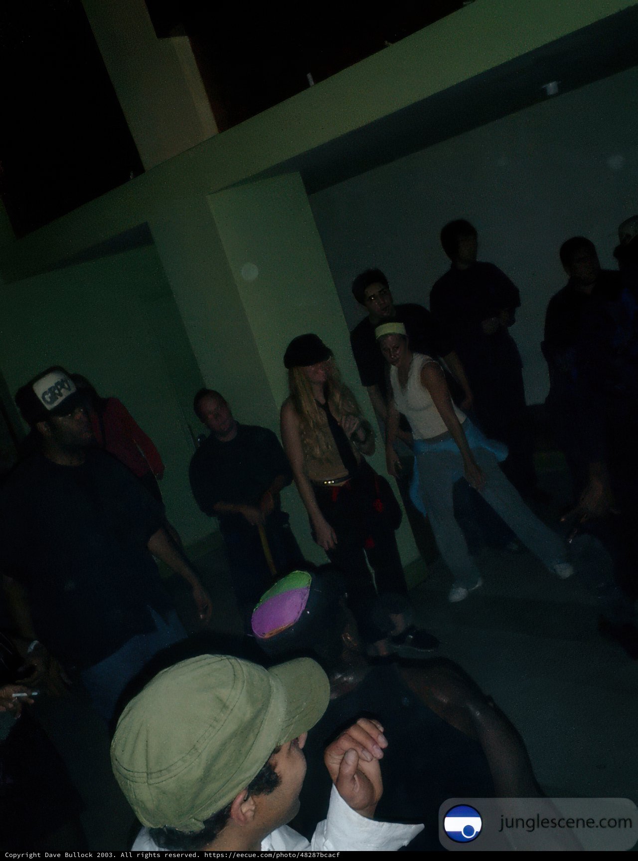 Nightclub Gathering