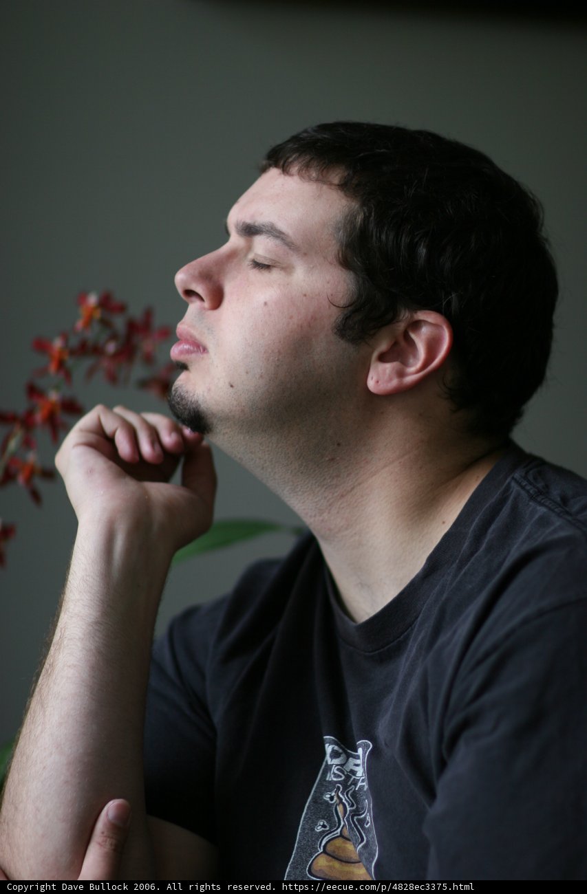 Contemplating the Diamond