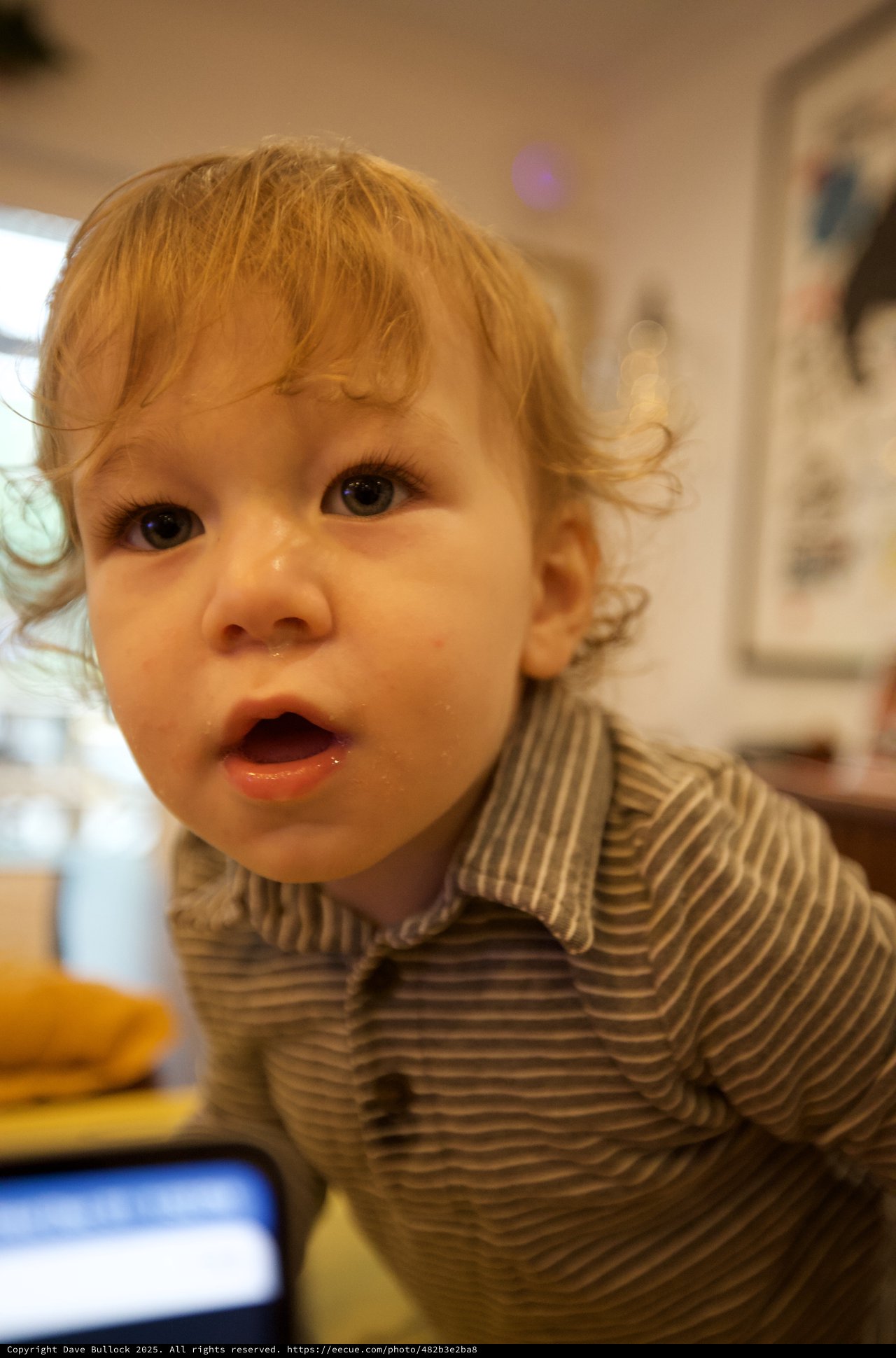 Curious Toddler with Blonde Curls at Mealtime