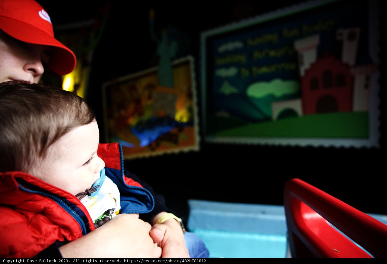 Cherished Moments at Disneyland