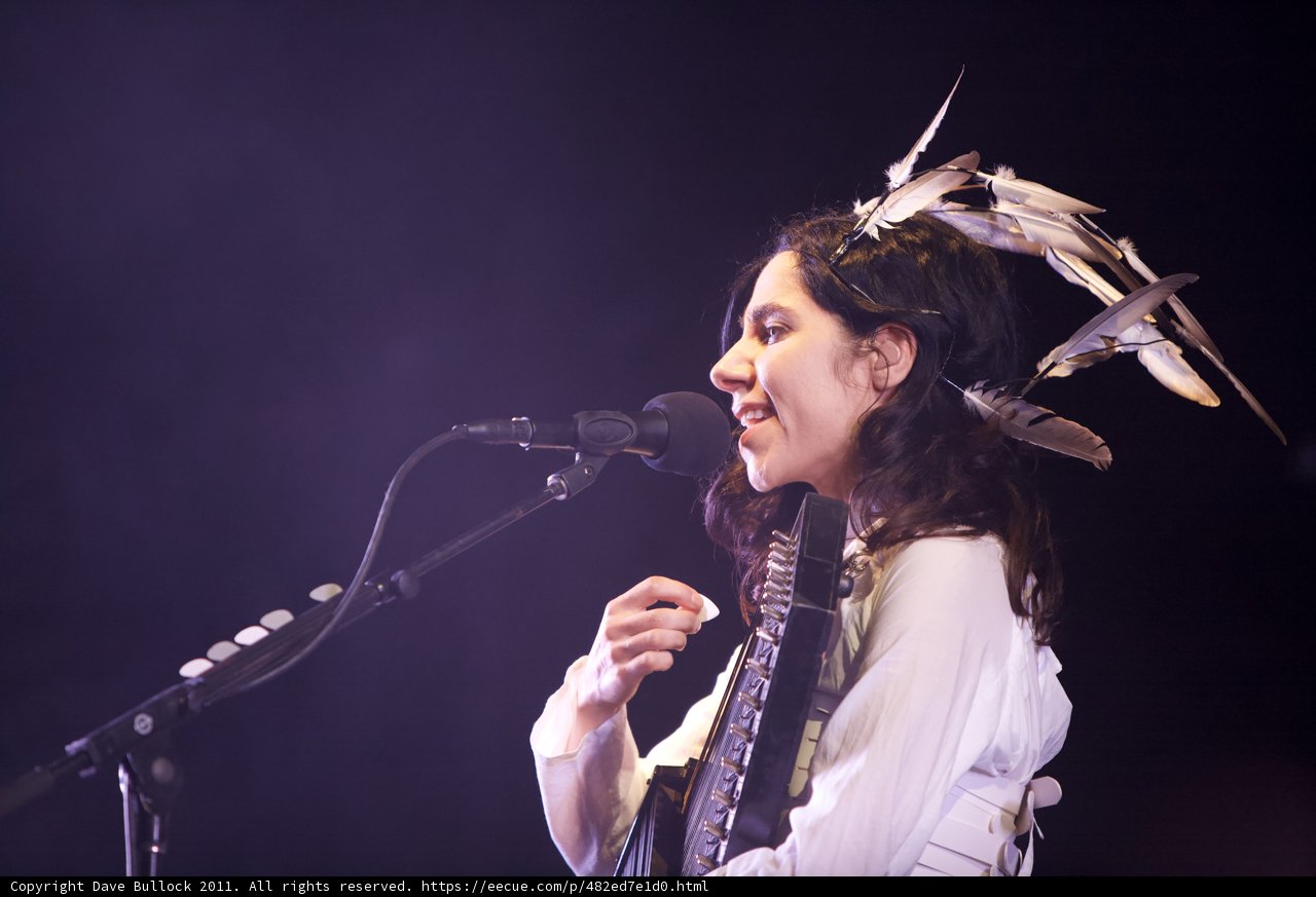 Feathered Songstress