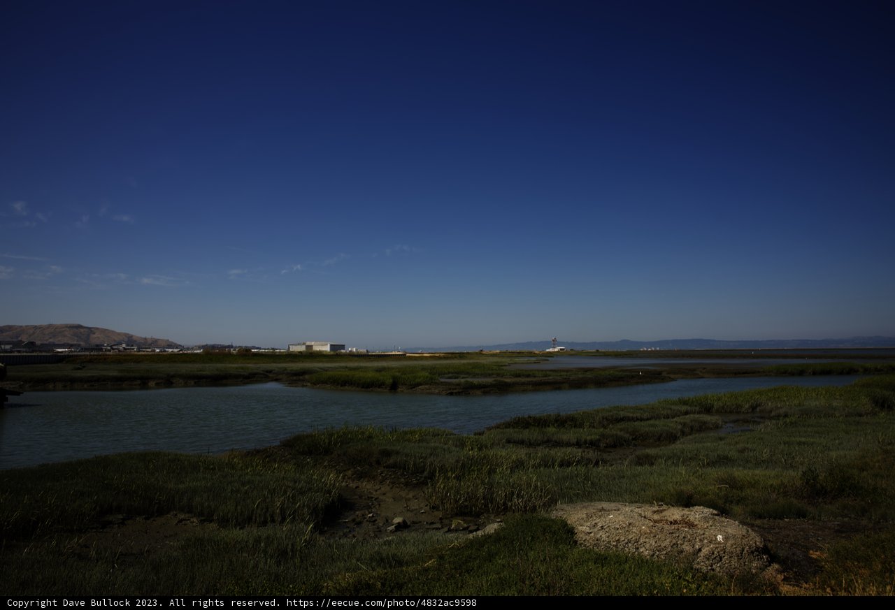 Beauty of the Bay: A Panoramic Pictorial from Millbrae