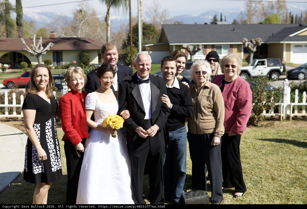 Formal Wedding Party