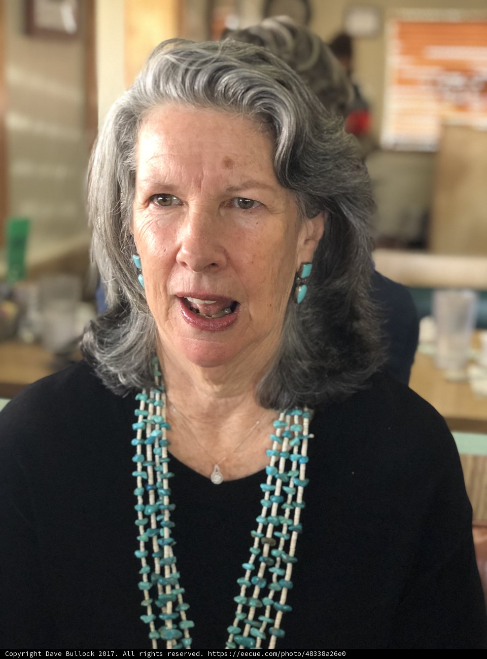 Gray-haired Lady with Beaded Necklace