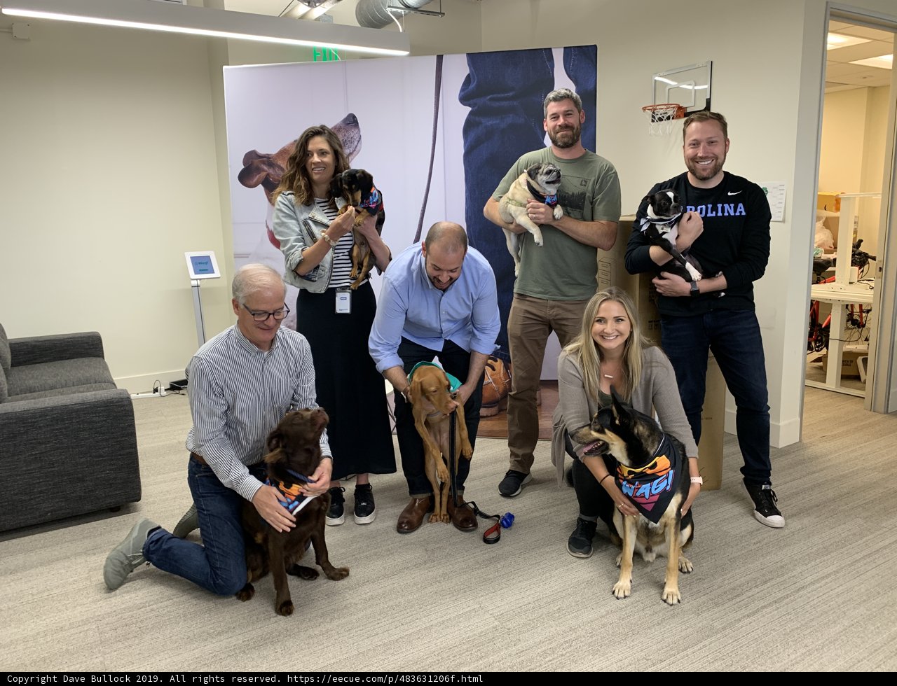 Furry Friends and Their Humans