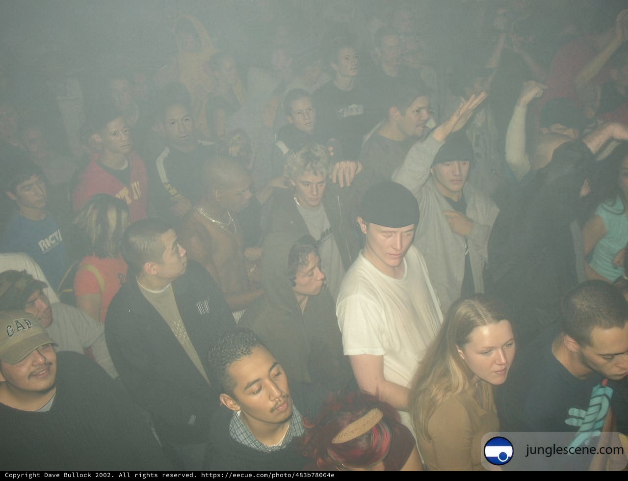 Nightclub Crowd in 2002
