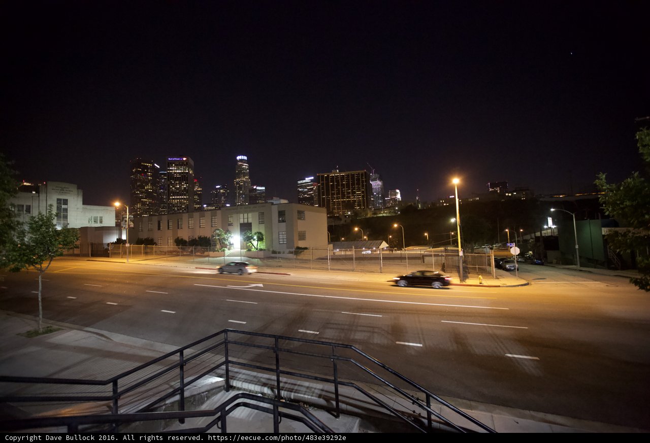 Nightscape of the Urban Jungle