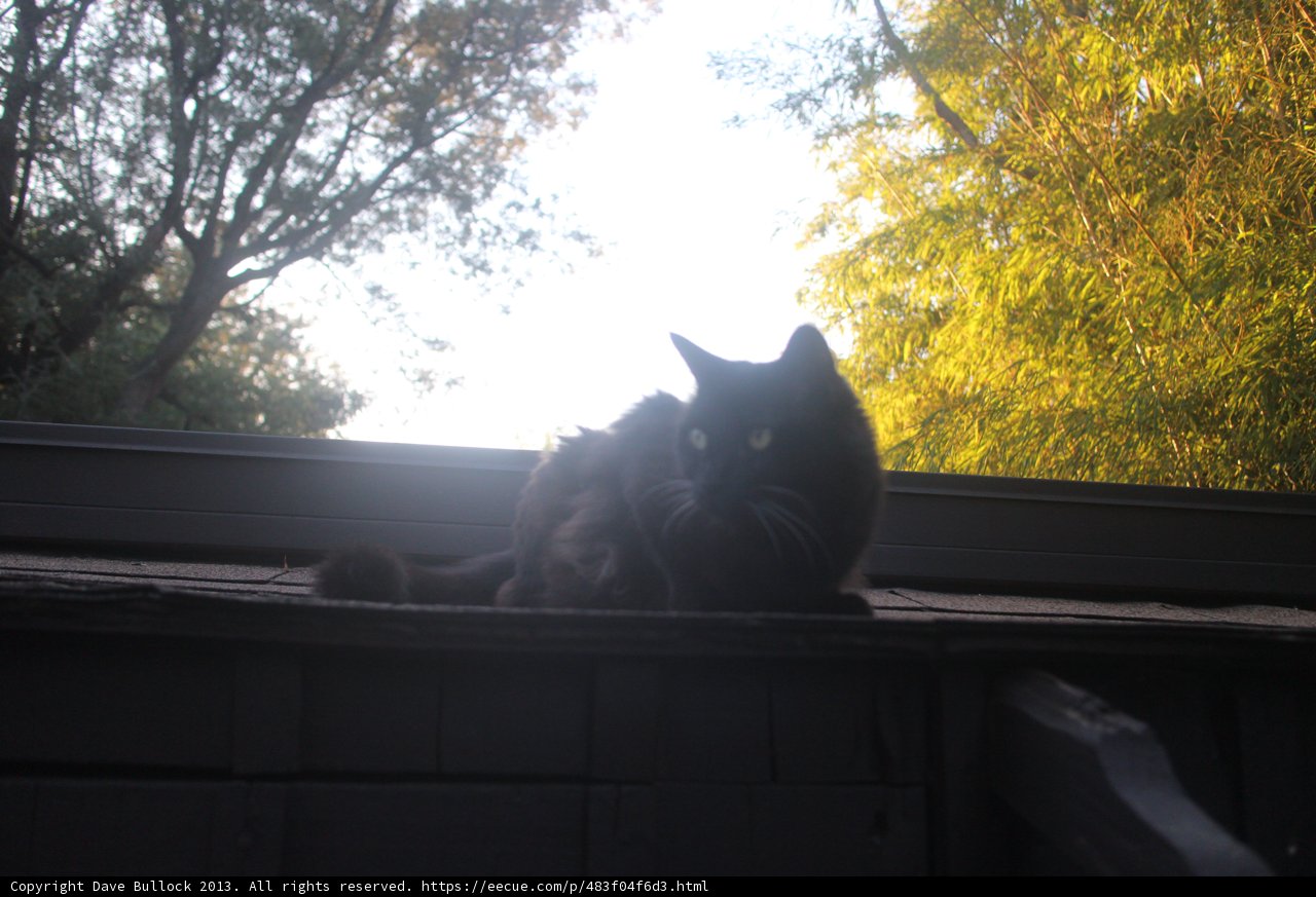 Rooftop Ruler