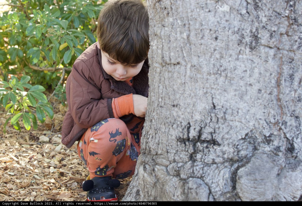 Nature's Hide and Seek