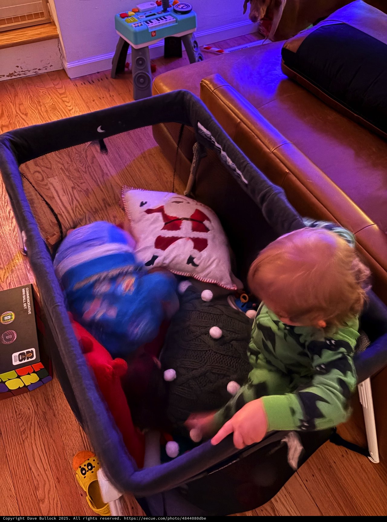 Toddler Playing with Toys in Pack 'n Play at Home