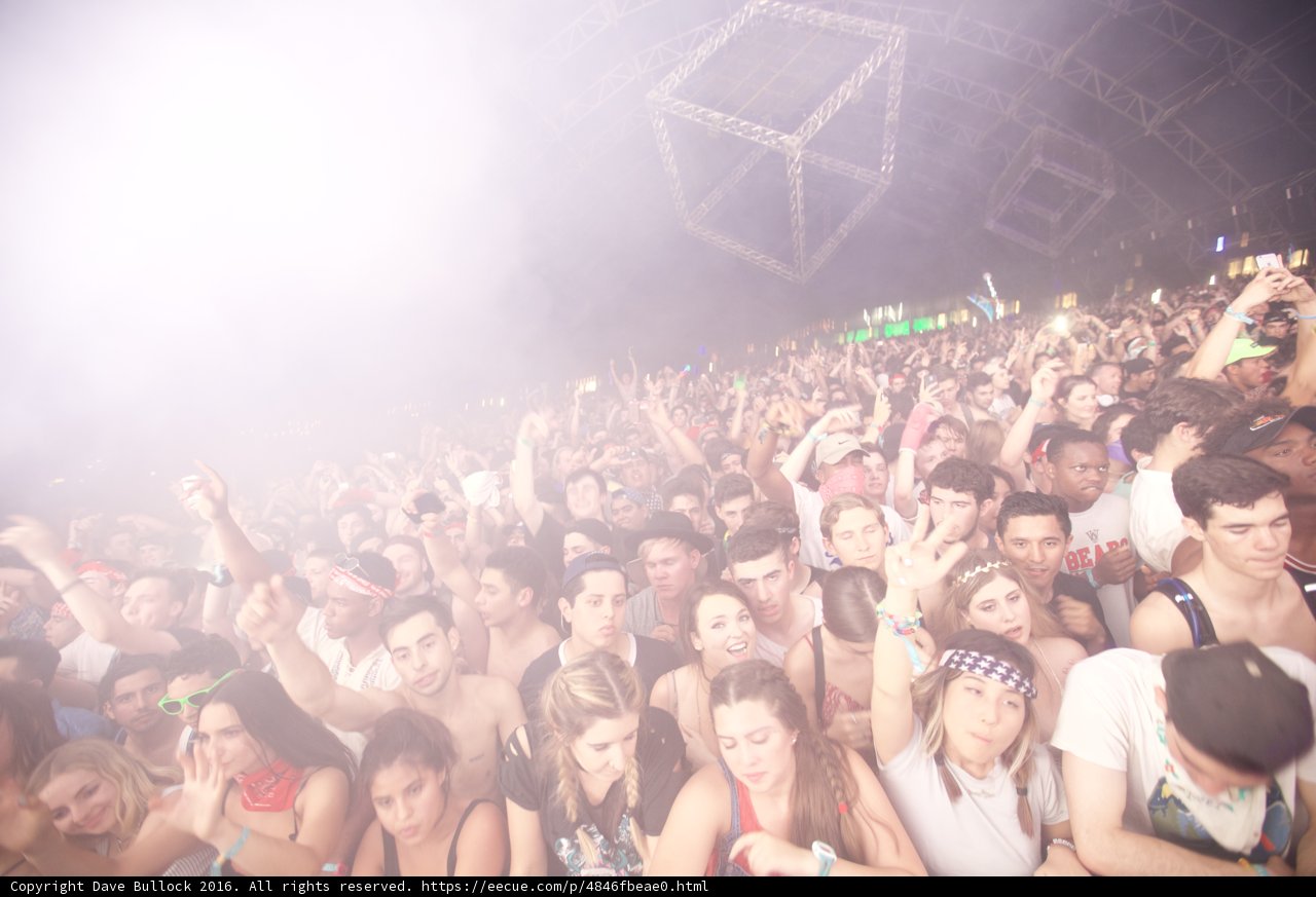Rocking the Night Away at Coachella