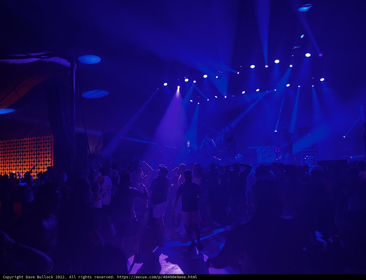 Blue lights and lively nights
