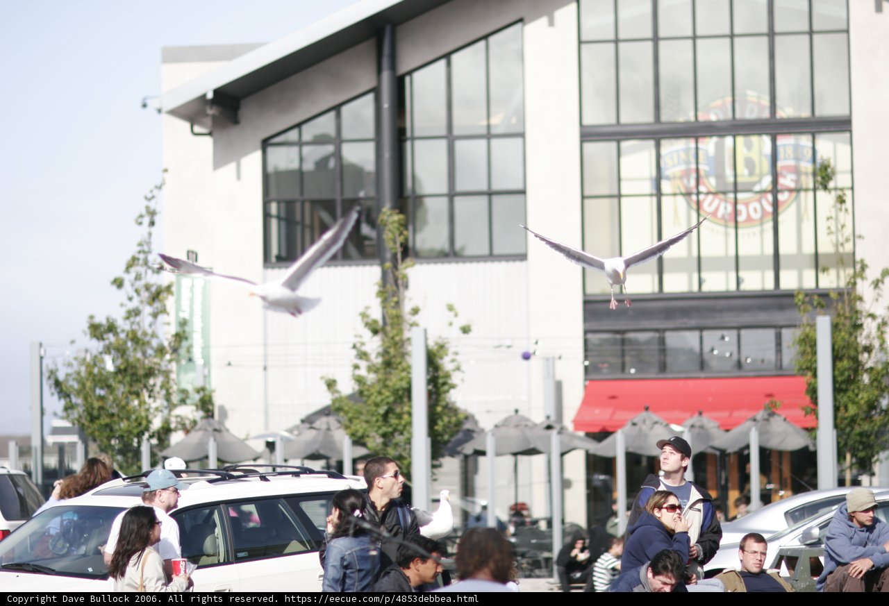 Group Gathering Outside Restaurant