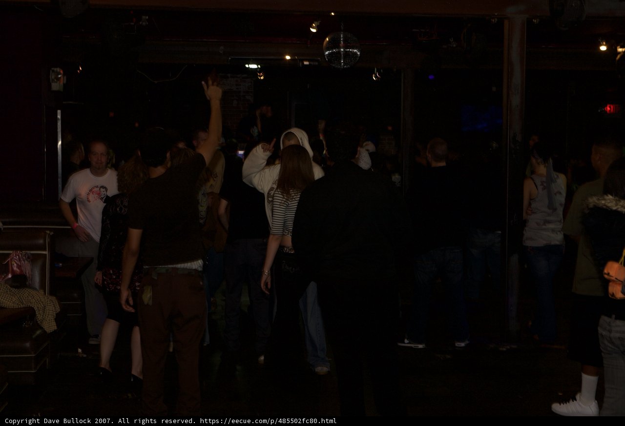 Nightclub Crowd in 2007