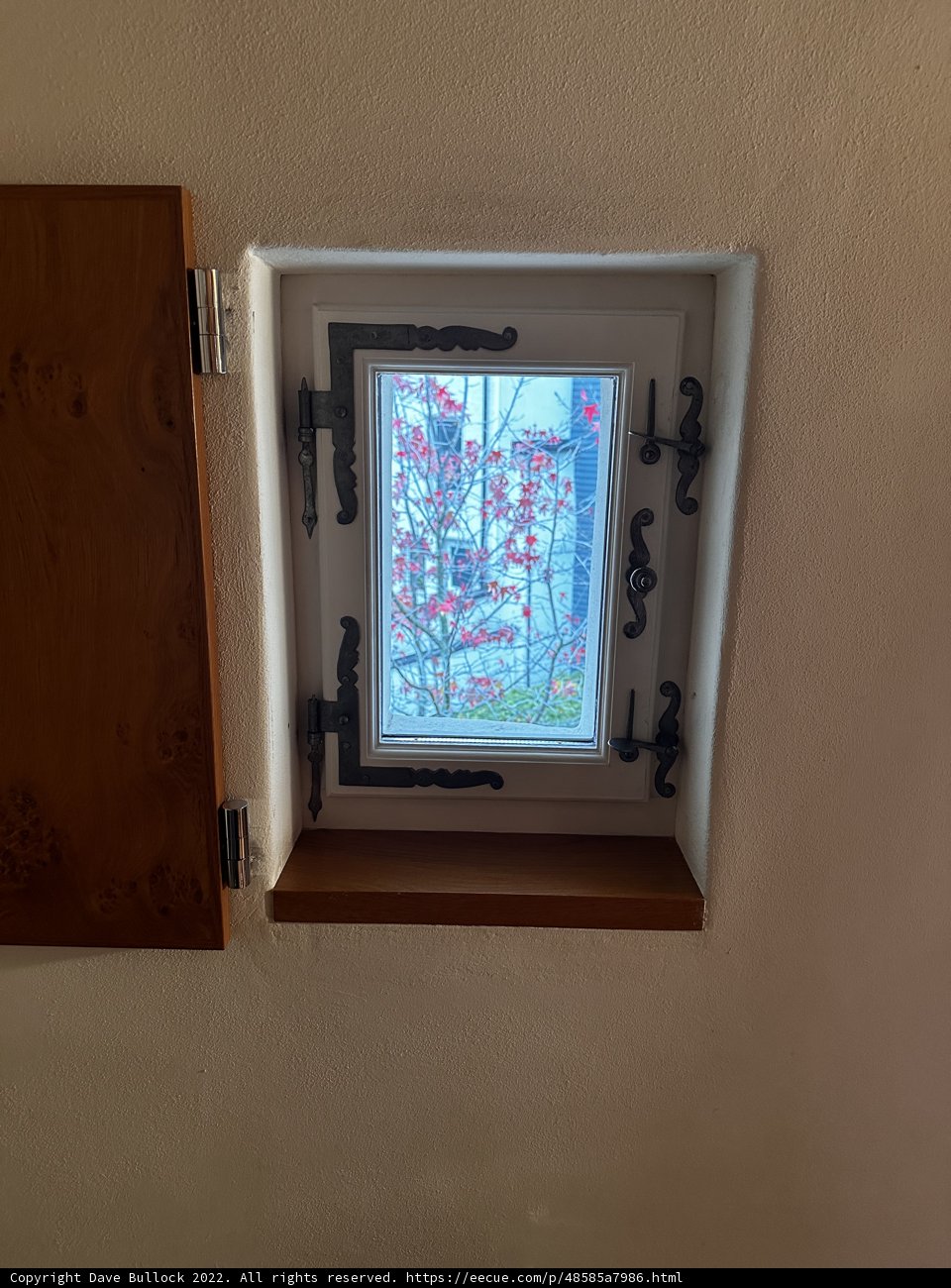 Nature's Artistry on Display Through the Window