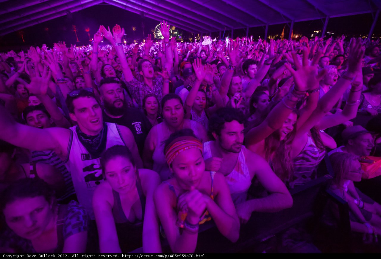 Coachella 2012 Crowd Pumped Up their Hands