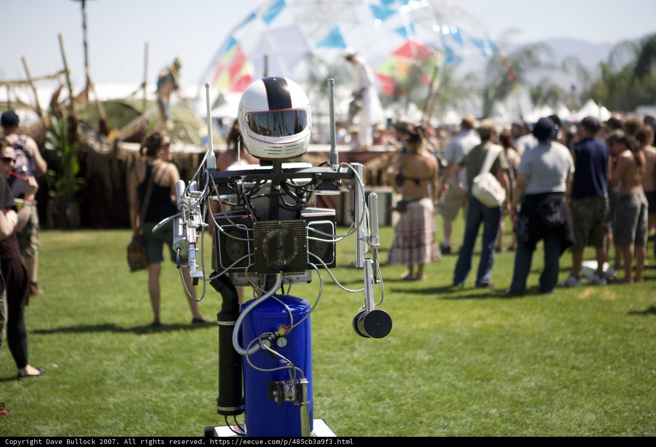Robot in the Grass