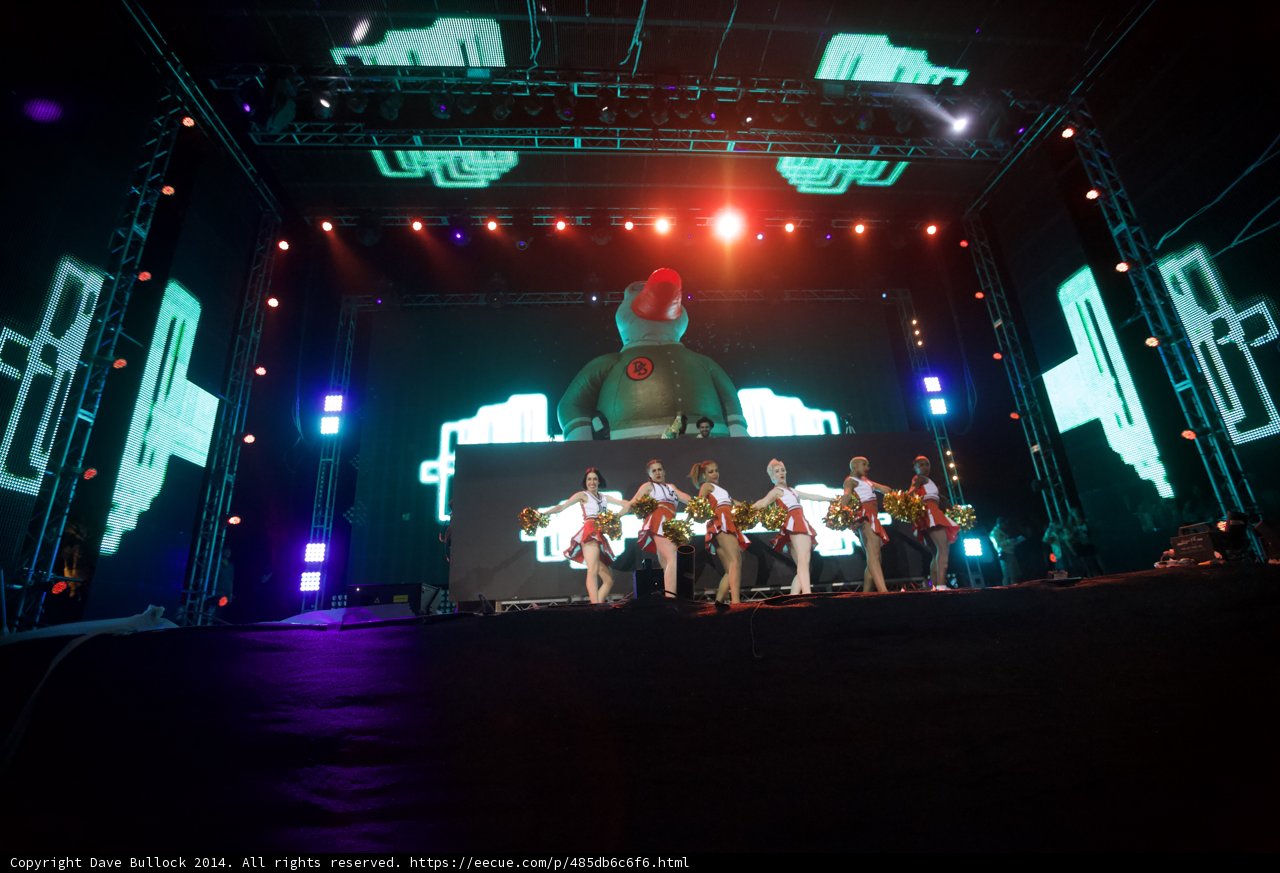 Nighttime Performers