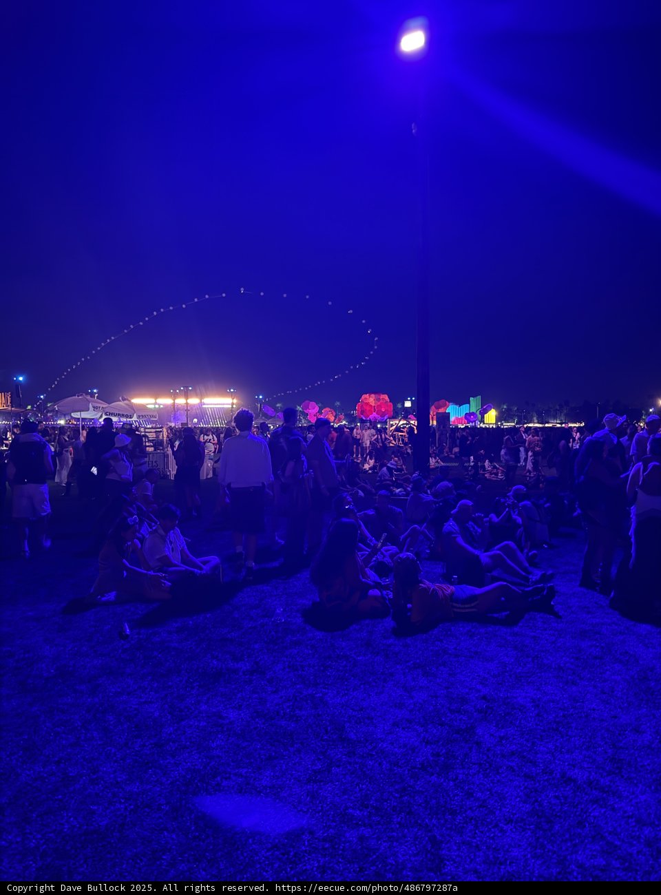 Enchanted Night Under the Stars