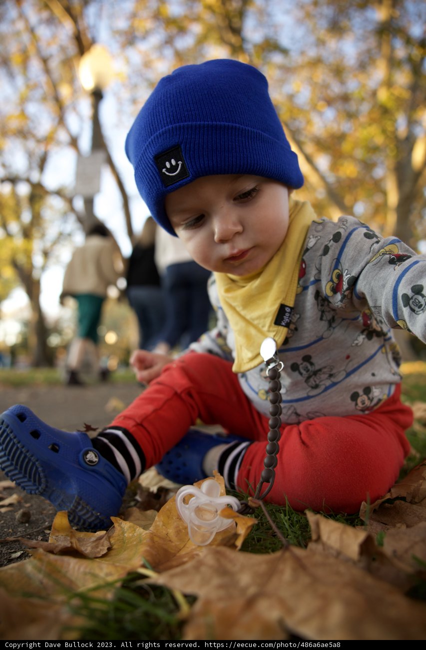 Wesley's Winter Cheer in Downtown Sonoma: A Colorful Ensemble