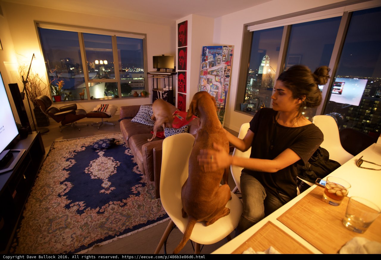 Living Room Relaxation