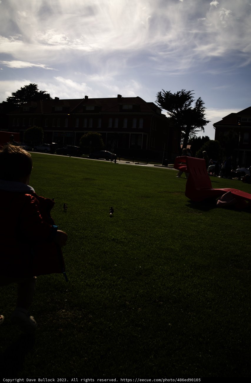 A Day in Presidio Park: Child's Play 2023