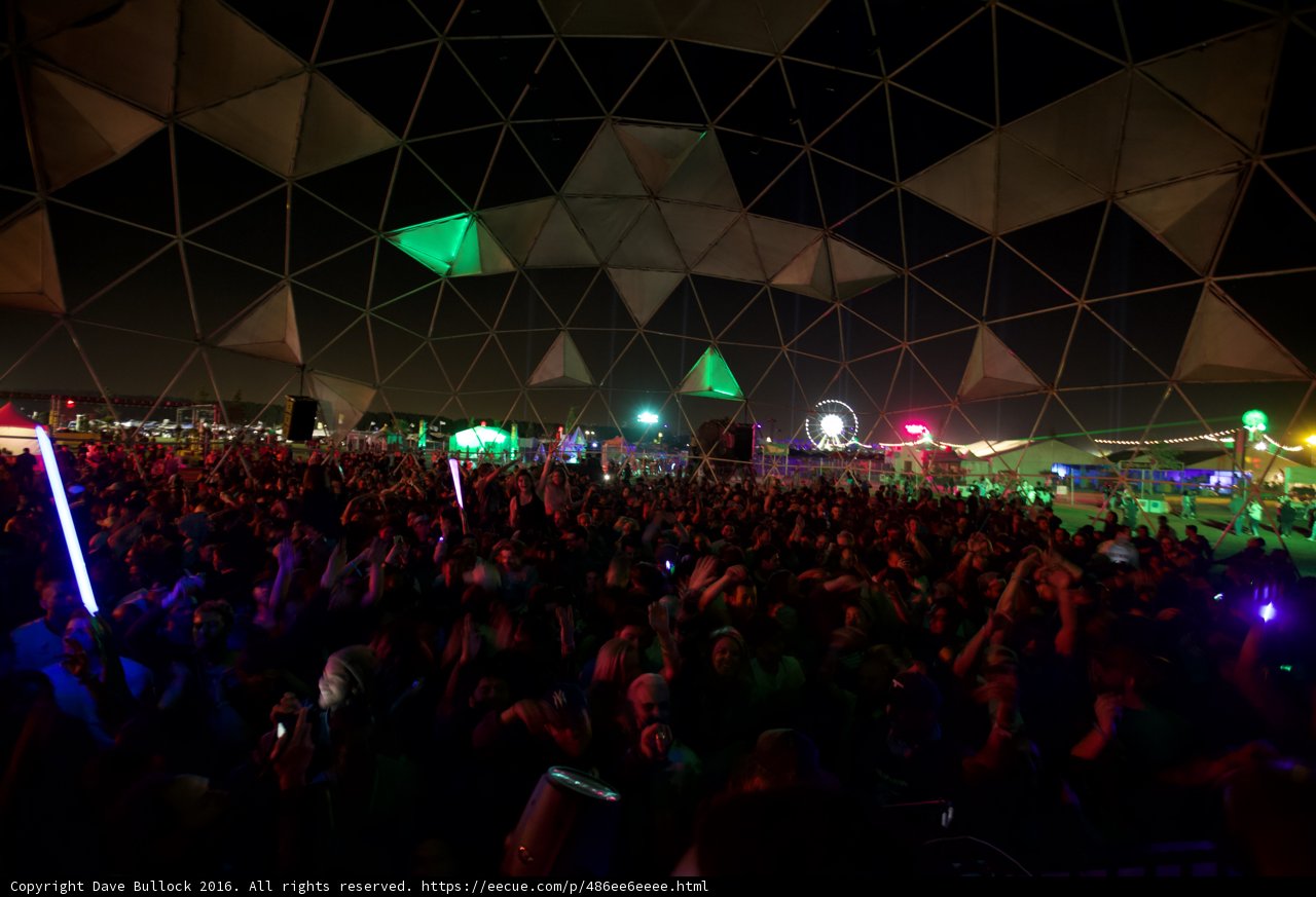 Lights, Crowd, Action!