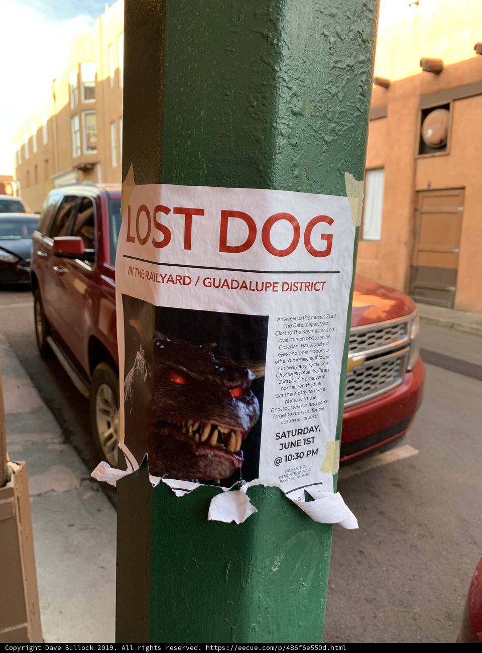 Dog Poster Advertisement