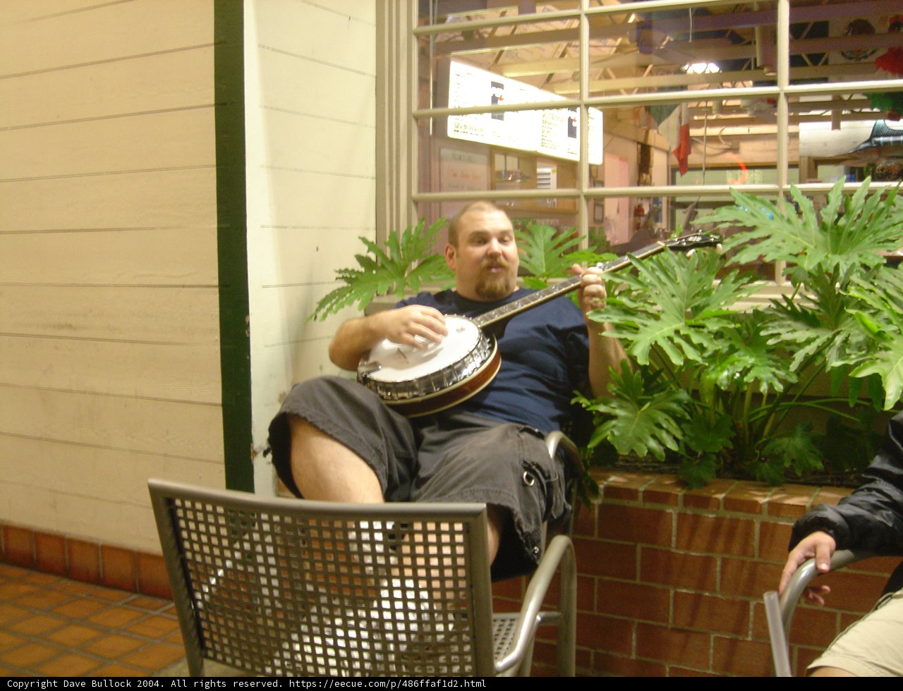 Jamming with the Banjo Caption: Flea F strums his banjo surrounded by lush potted plants and cozy furniture.