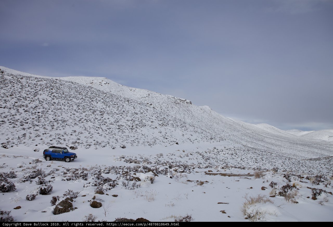Frozen Adventure