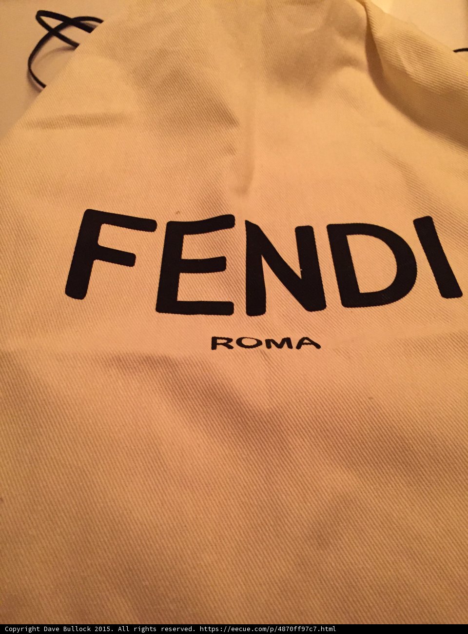Fendi Roma Dust Bag