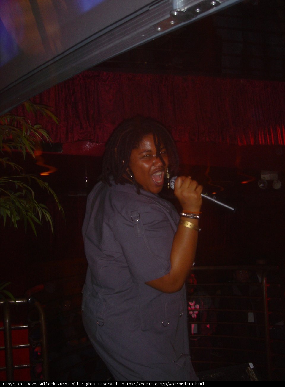 The Night Club Songstress