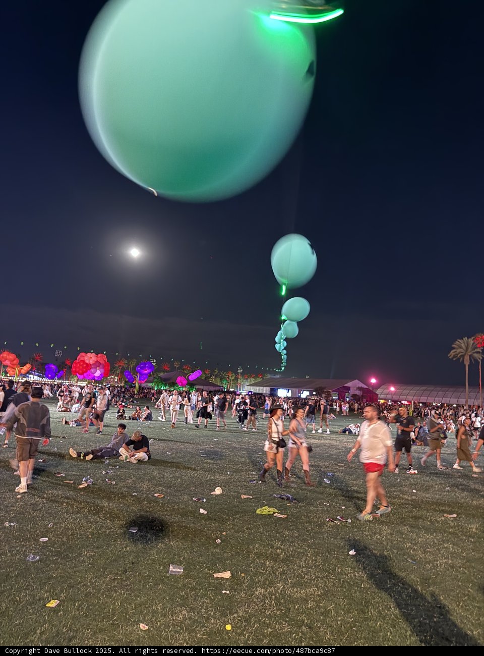 Nightlife Under the Moonlight