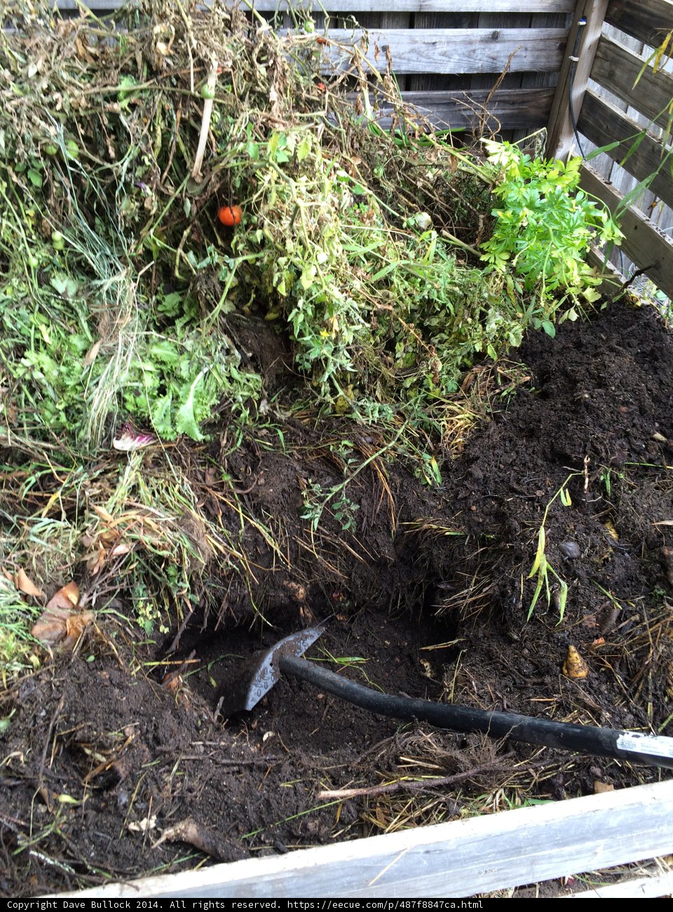 Gardening Tools in Action
