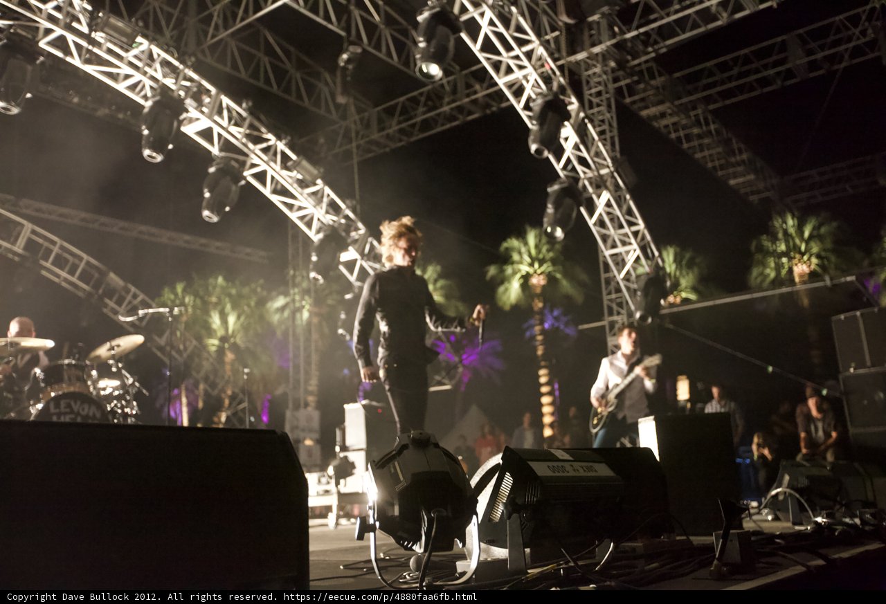 Nighttime Performance with Palm Trees in the Background