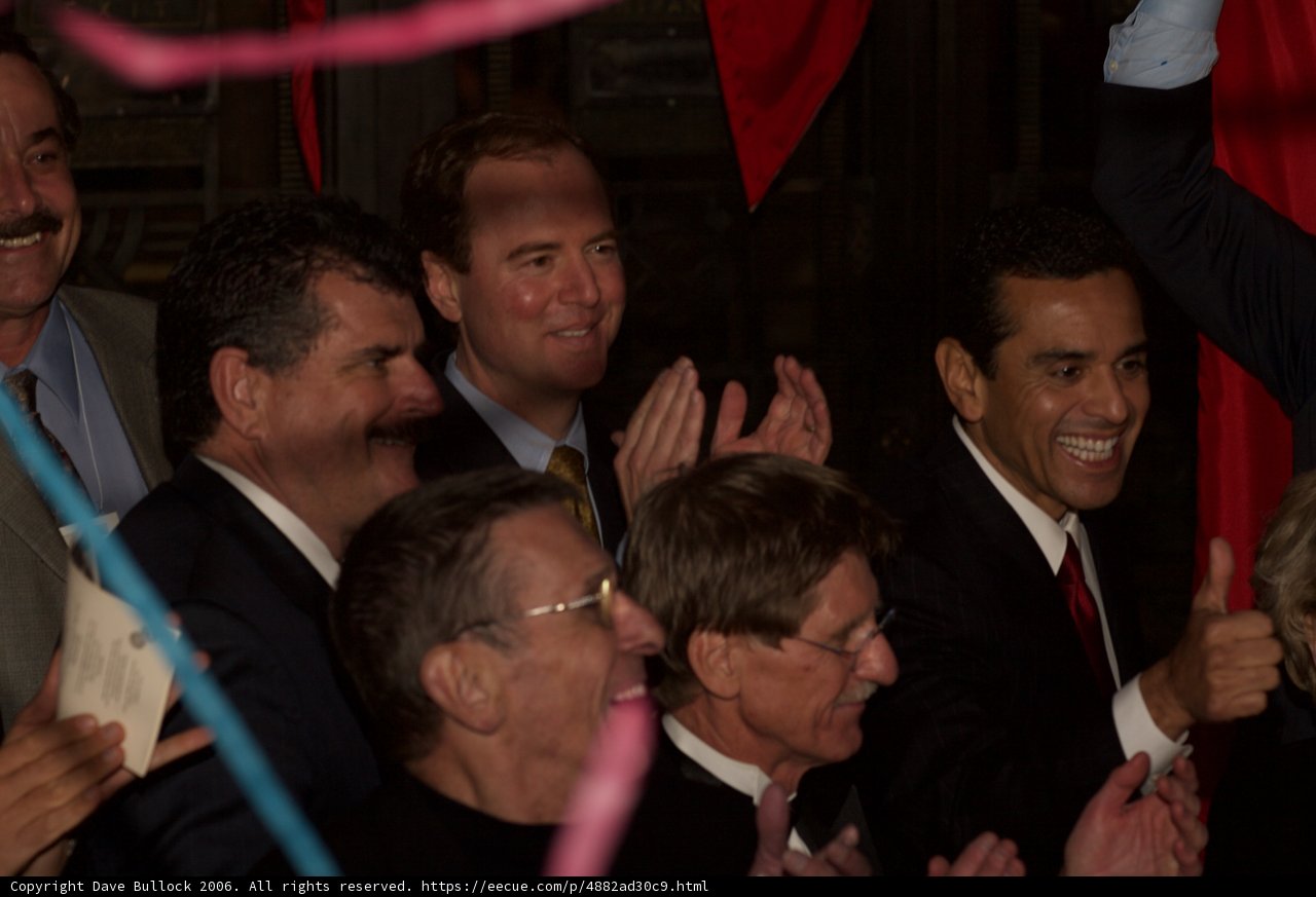 Celebration in Suits