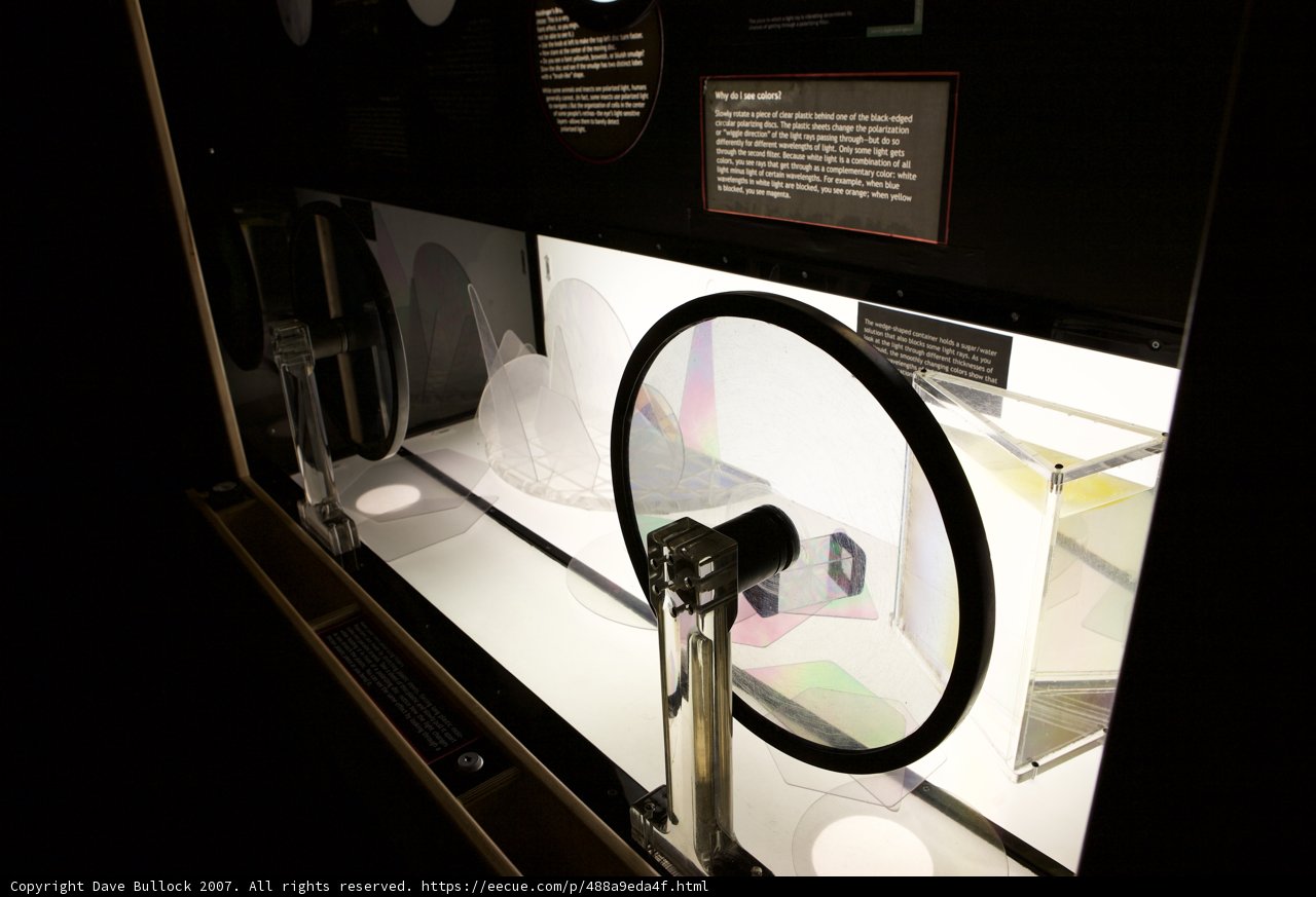 Spin into the Future