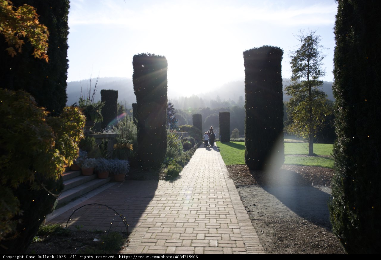 Afternoon Stroll at Thistlewyck Gardens