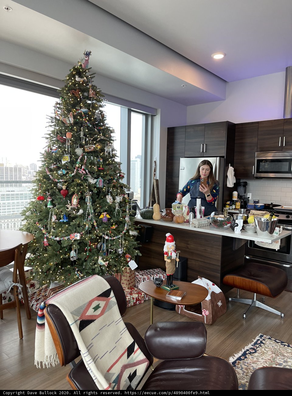 Festive Christmas Scene in San Francisco