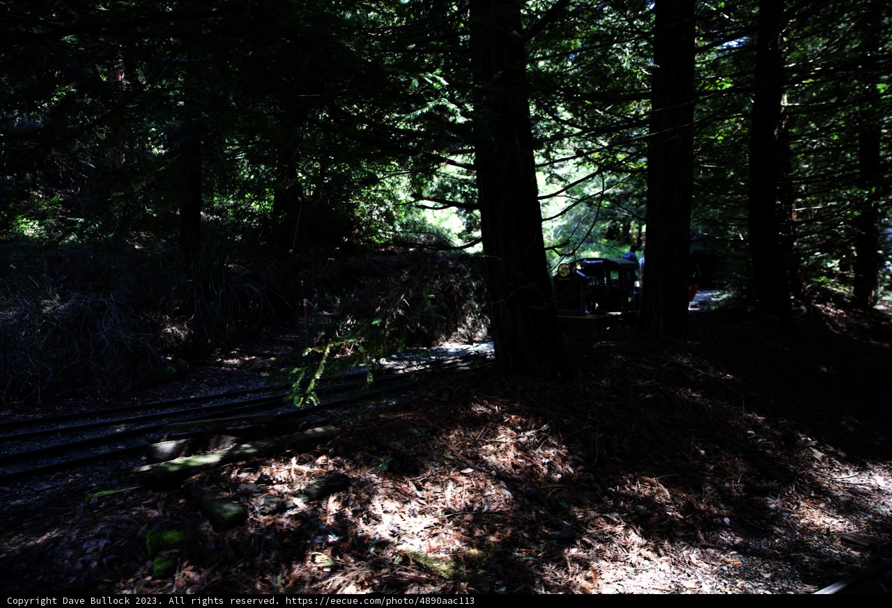 Enchanting Train Journey Through Tilden Park