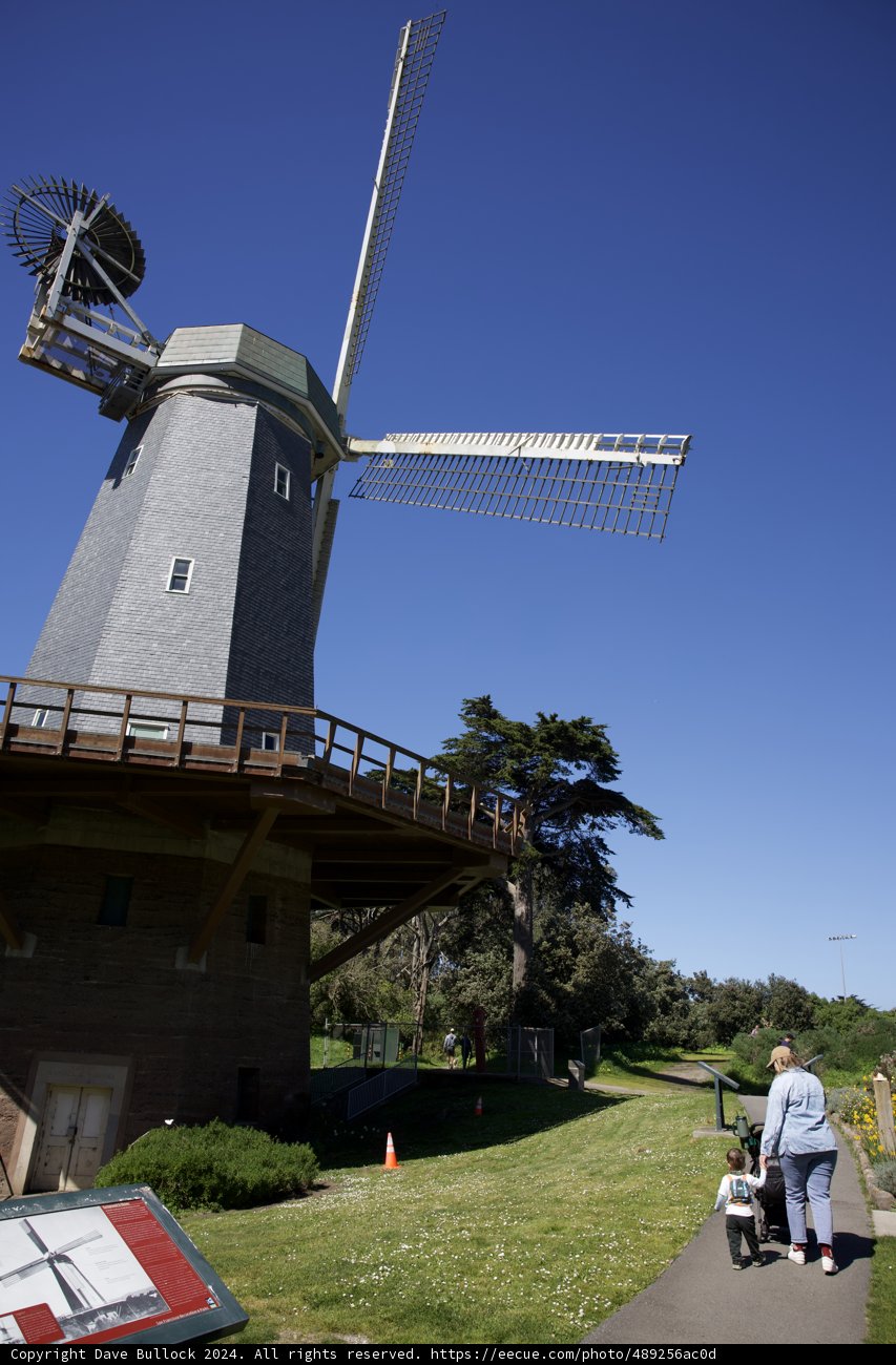 A Day Under the Blue Sky: Golden Gate Park Adventure