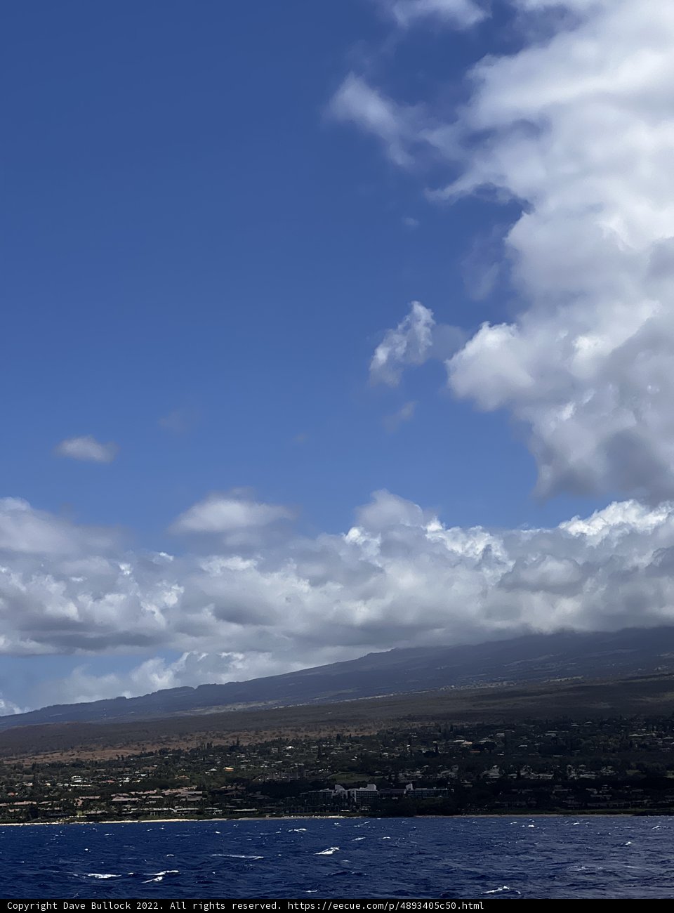 Majesty of the North Pacific