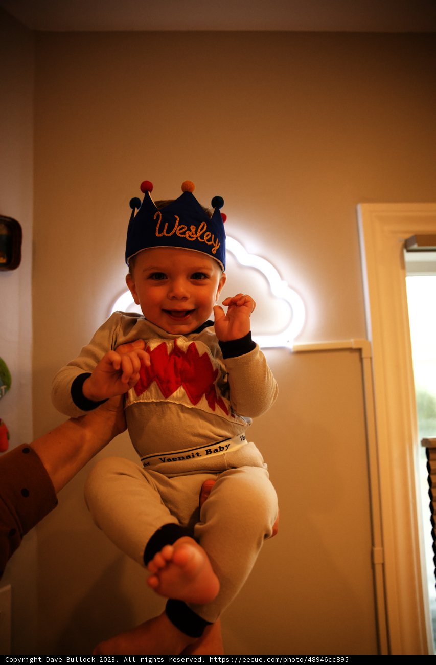 King for a Day: Wesley's First Birthday Bash
