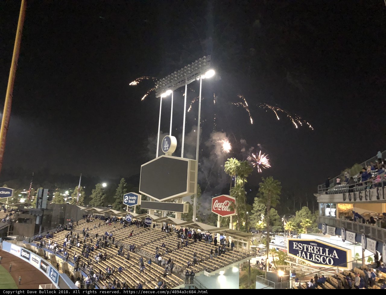 Fireworks Illuminating the Night Sky