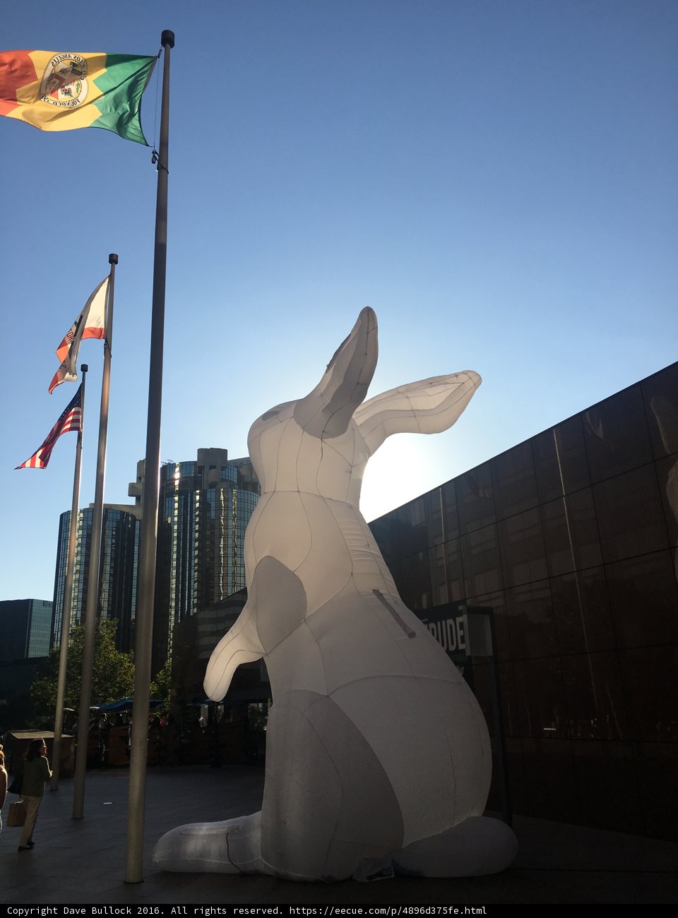 The White Rabbit in the City