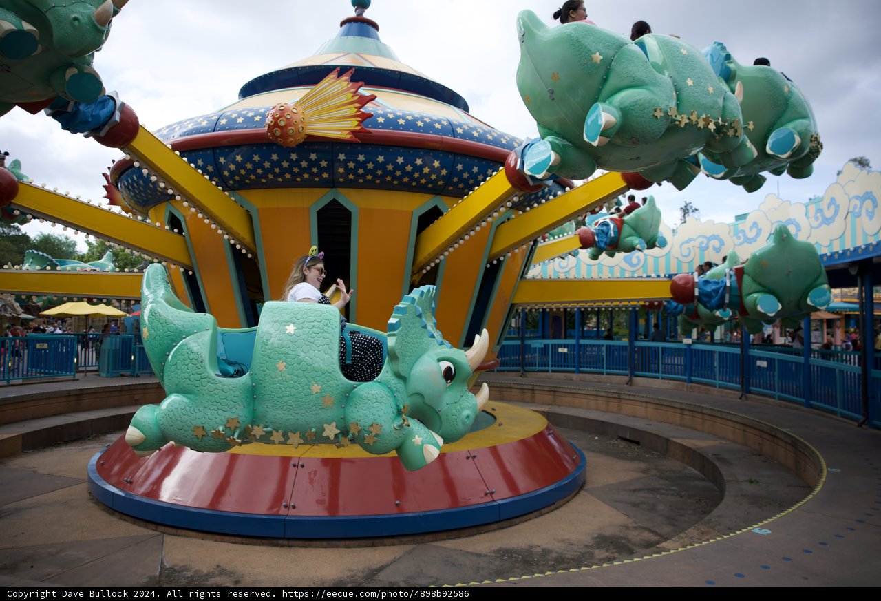 A Roaring Adventure at Disneyworld Animal Kingdom, 2024