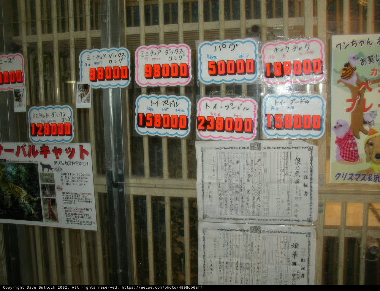 Price Display