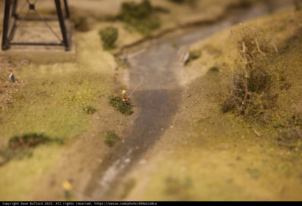 Miniature Wonders: A Tranquil Scene